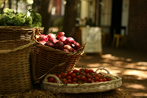 beautiful baskets filled with produce